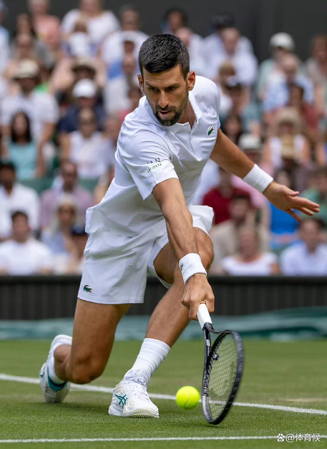 德约科维奇新星败北表现惊艳，雄鹿未来可期！的简单介绍